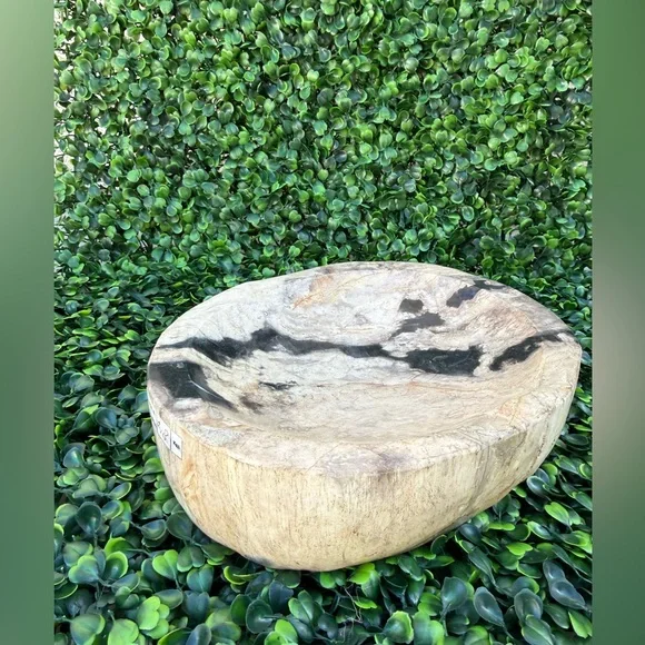 Petrified Wood Bowl • Grounding • Ancestral Wisdom • Earth Energy - Picture 3 of 5